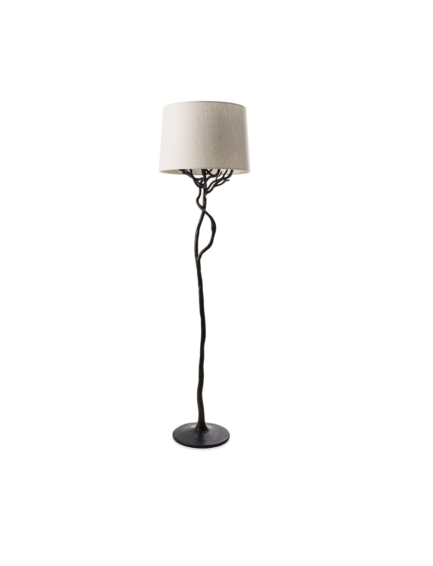 "Etna" Organic Design Floor Lamp in Bronze Plaster Finish