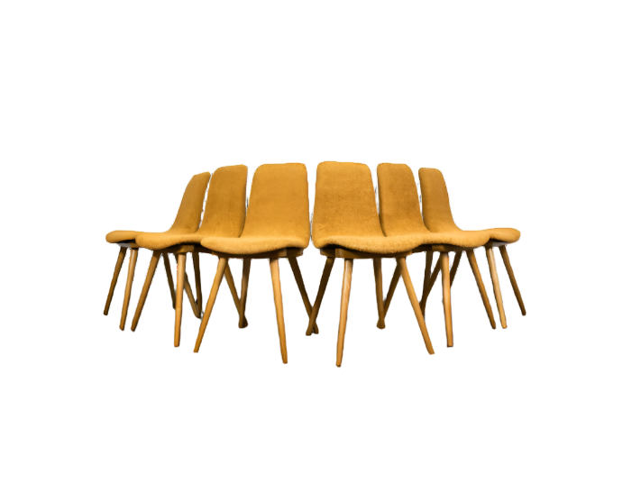 Set of 6 dining chairs, A-6150 by FAMEG, Poland, 1960’s